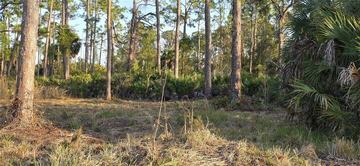 Property Photo:  13262 Gorman Avenue  FL 33981 