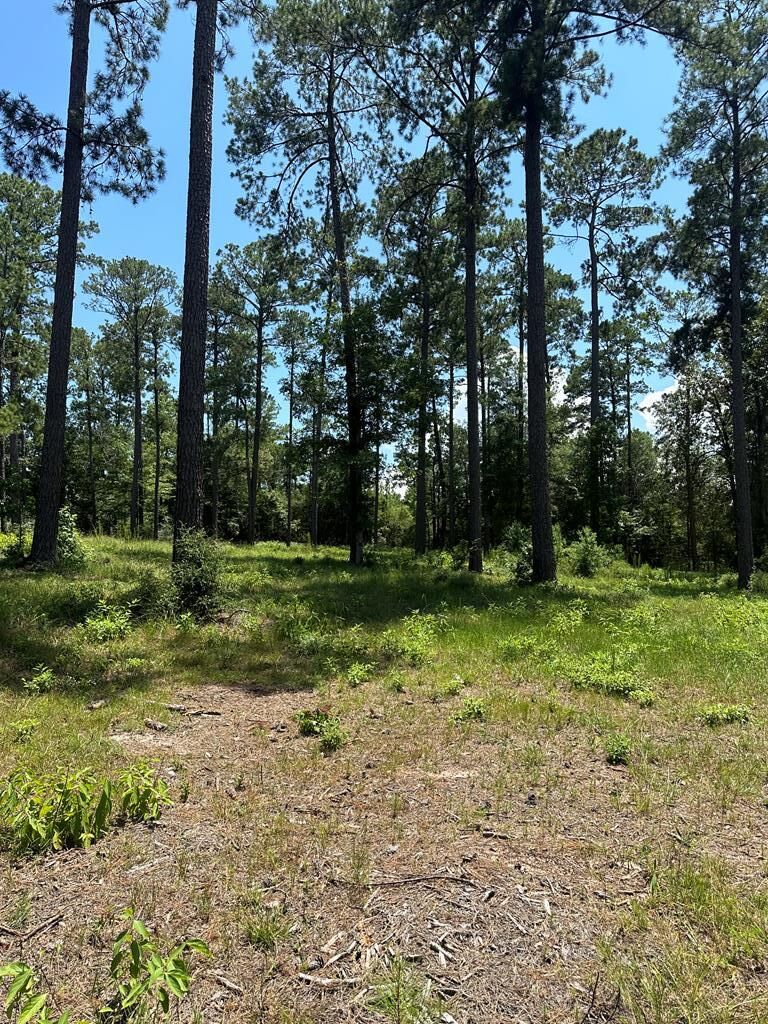 Property Photo:  Lot 2 Pr 6028  TX 75931 