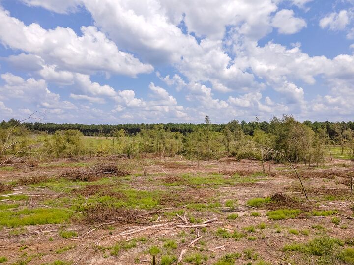 Property Photo:  R53358 Tract 3 Hwy 94  TX 75926 
