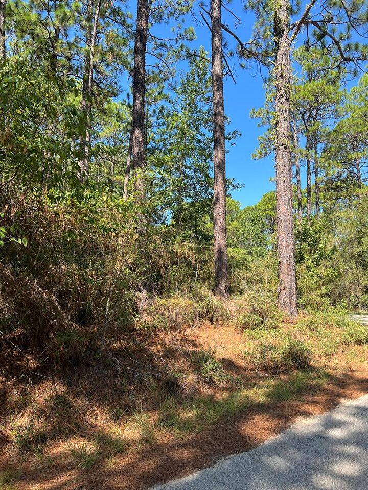 Property Photo:  420 Sparkleberry Drive  TX 75931 