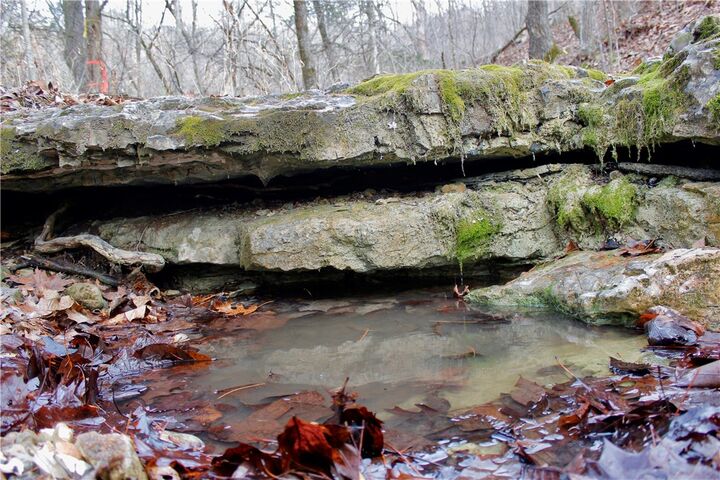 Property Photo:  Cr-1089  AR 72632 