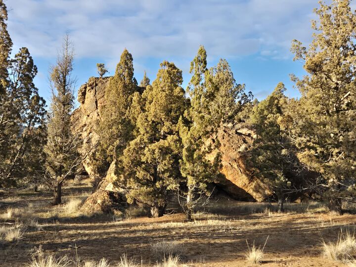 Property Photo: 9697 SE Pavati Drive Lot 27 OR 97754