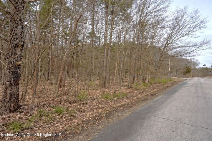 Property Photo:  Tbd Silver Spur W  NY 12413 