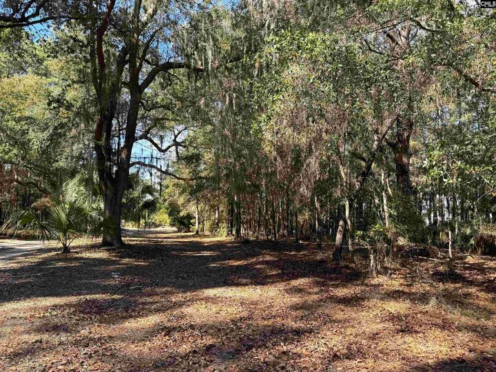 Property Photo: 8384 Palmetto SC 29438