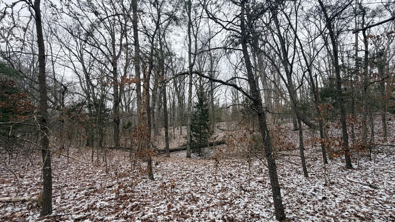 Property Photo:  537 Apache Drive  KY 40461 