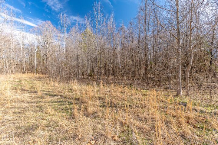 Property Photo: 3 Acres County Road 389 AR 72416