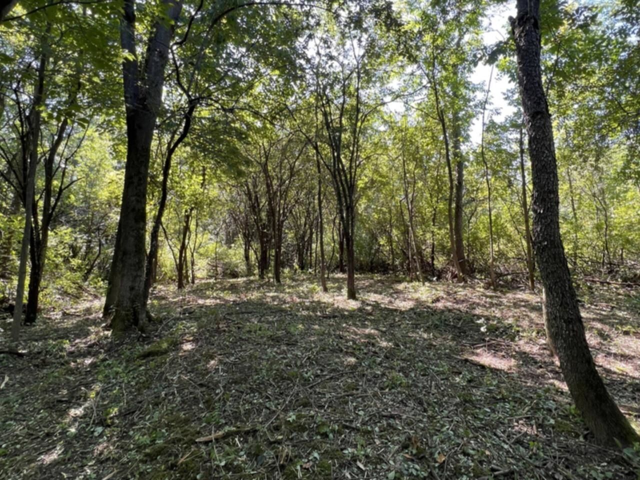 Property Photo: 0 Hemenway Road VT 05753