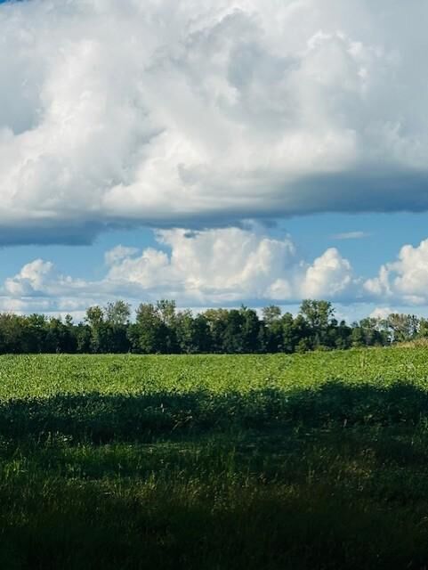 Property Photo: 8xxx Rushseba Trail MN 55069