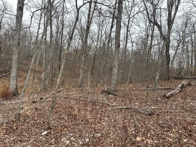 Property Photo:  0 606 Road  OK 74964 