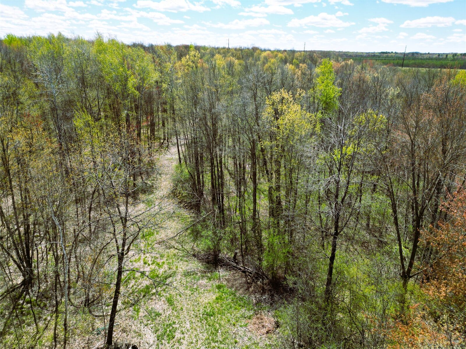 Property Photo: 96+ Acres On White Birch Ridge Road WI 54848