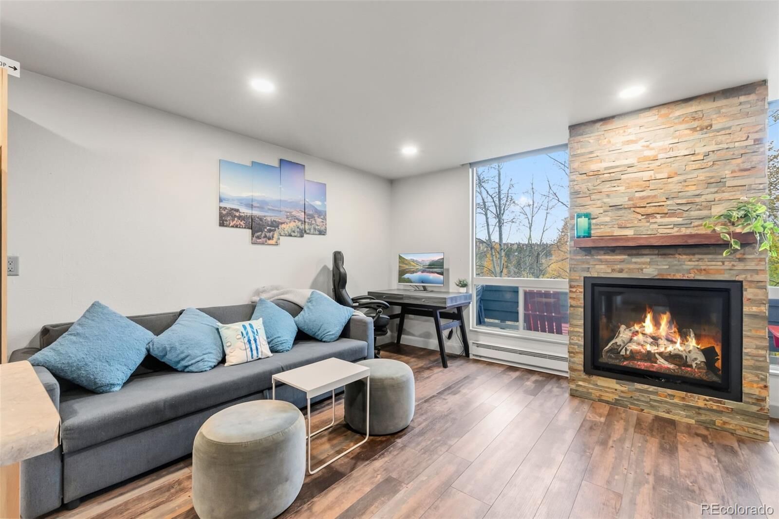 Property Photo: 490 Straight Creek Drive 520 CO 80435