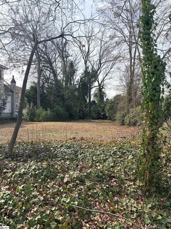 Property Photo:  142 Oakland Avenue  SC 29302 