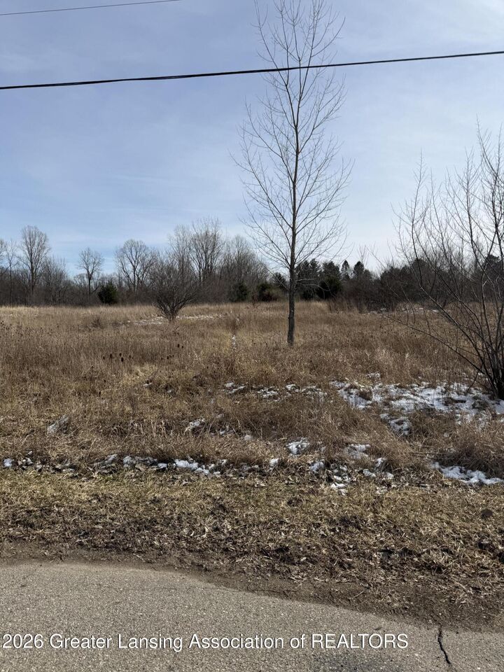 Property Photo:  16831 Steiner Way  MI 48906 