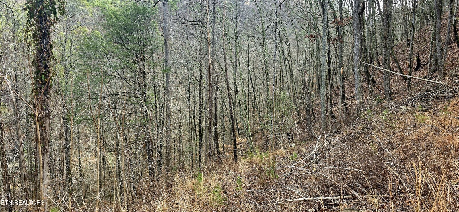Property Photo: 3278 Emerald Springs Loop TN 37862