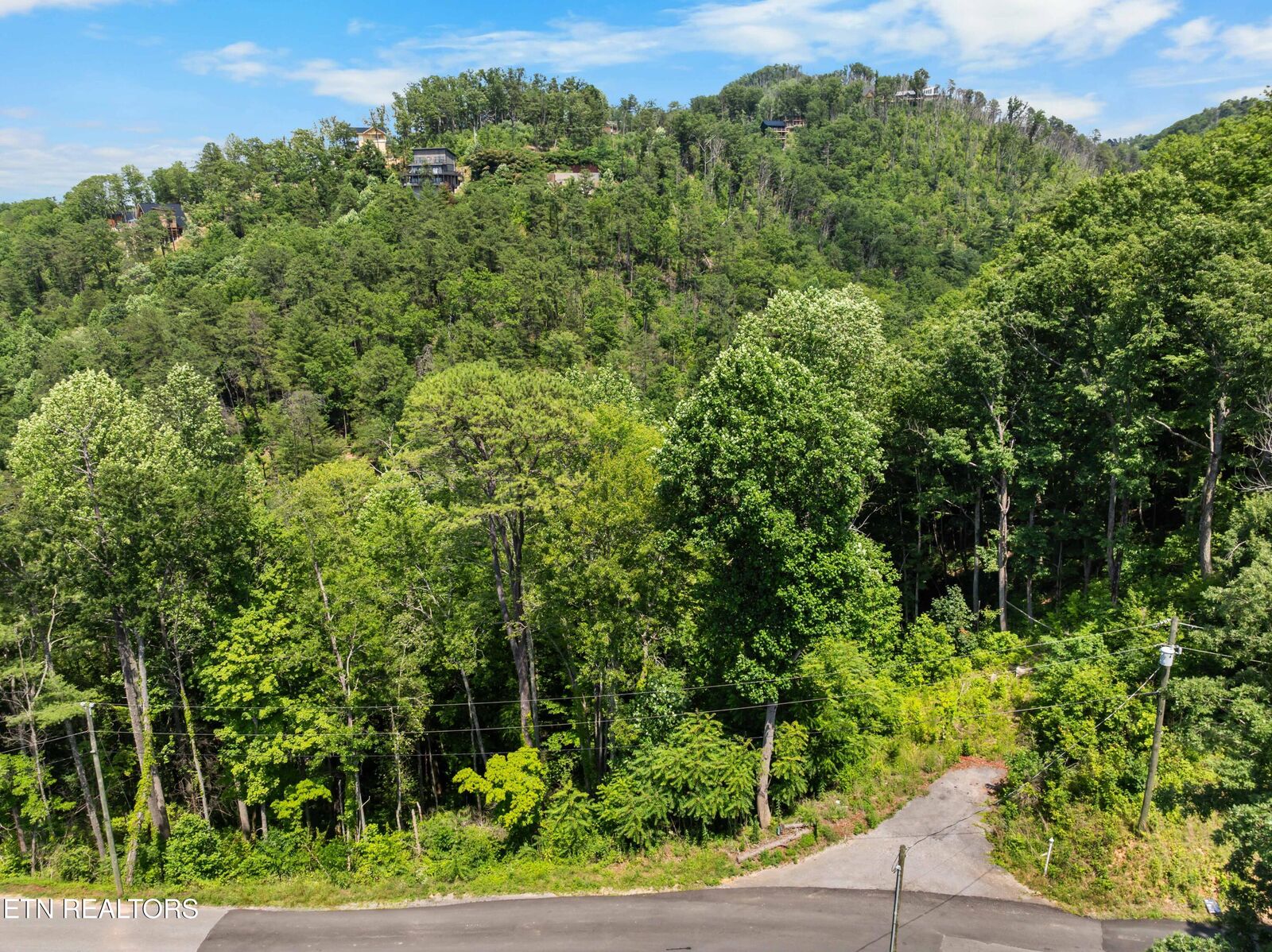 Property Photo:  3278 Emerald Springs Loop  TN 37862 