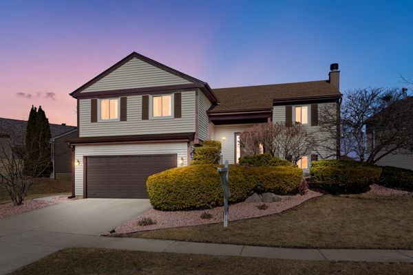 Property Photo:  203 Albert Drive  IL 60061 