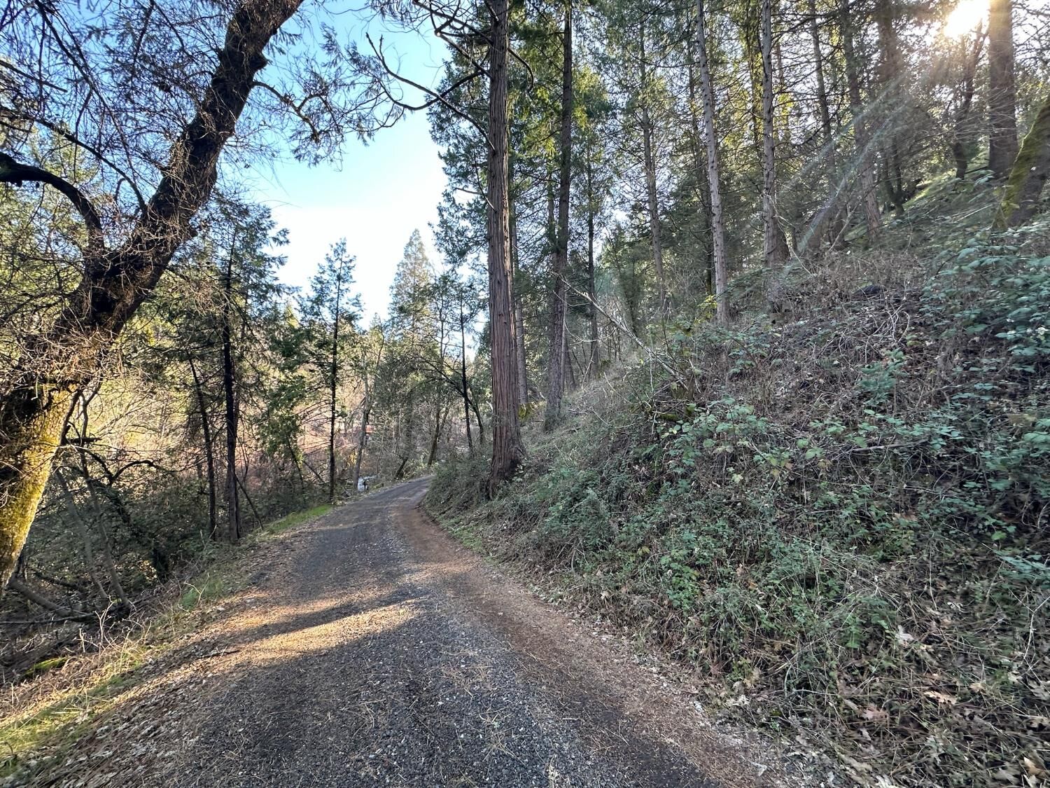 Property Photo:  0 NE Treasure Rock Lane  CA 95667 