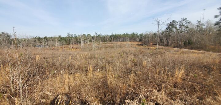 Property Photo: 85.6+/- Acres County Road 2291 MS 38829