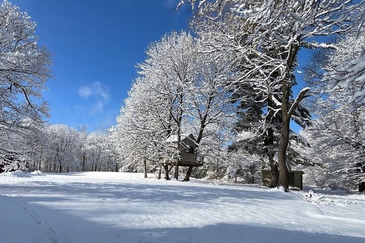 Property Photo:  62 Main Street  MA 01886 