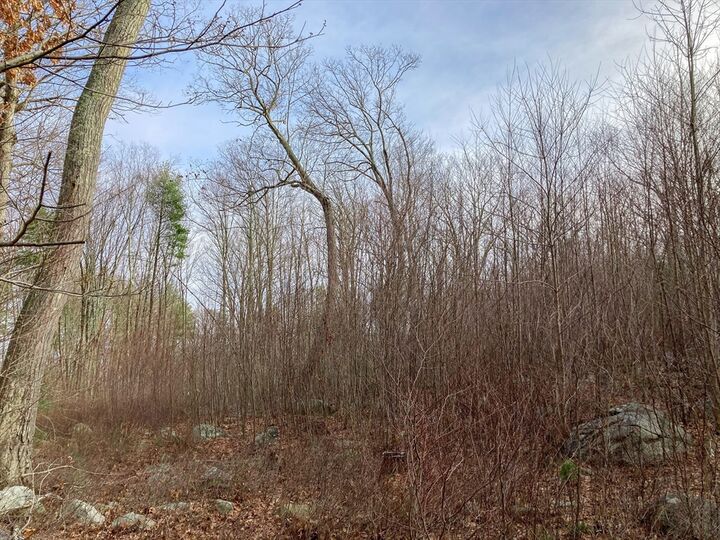 Property Photo:  183 Blackstone St  MA 01756 