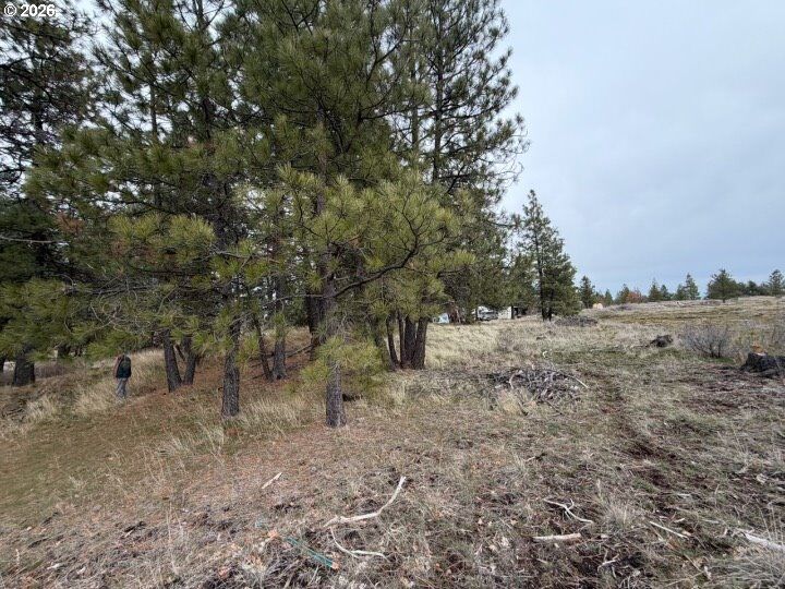 Property Photo:  210 Pine St  WA 99356 