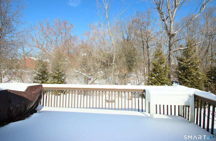 Property Photo:  25 Dacosta Drive 25  CT 06111 