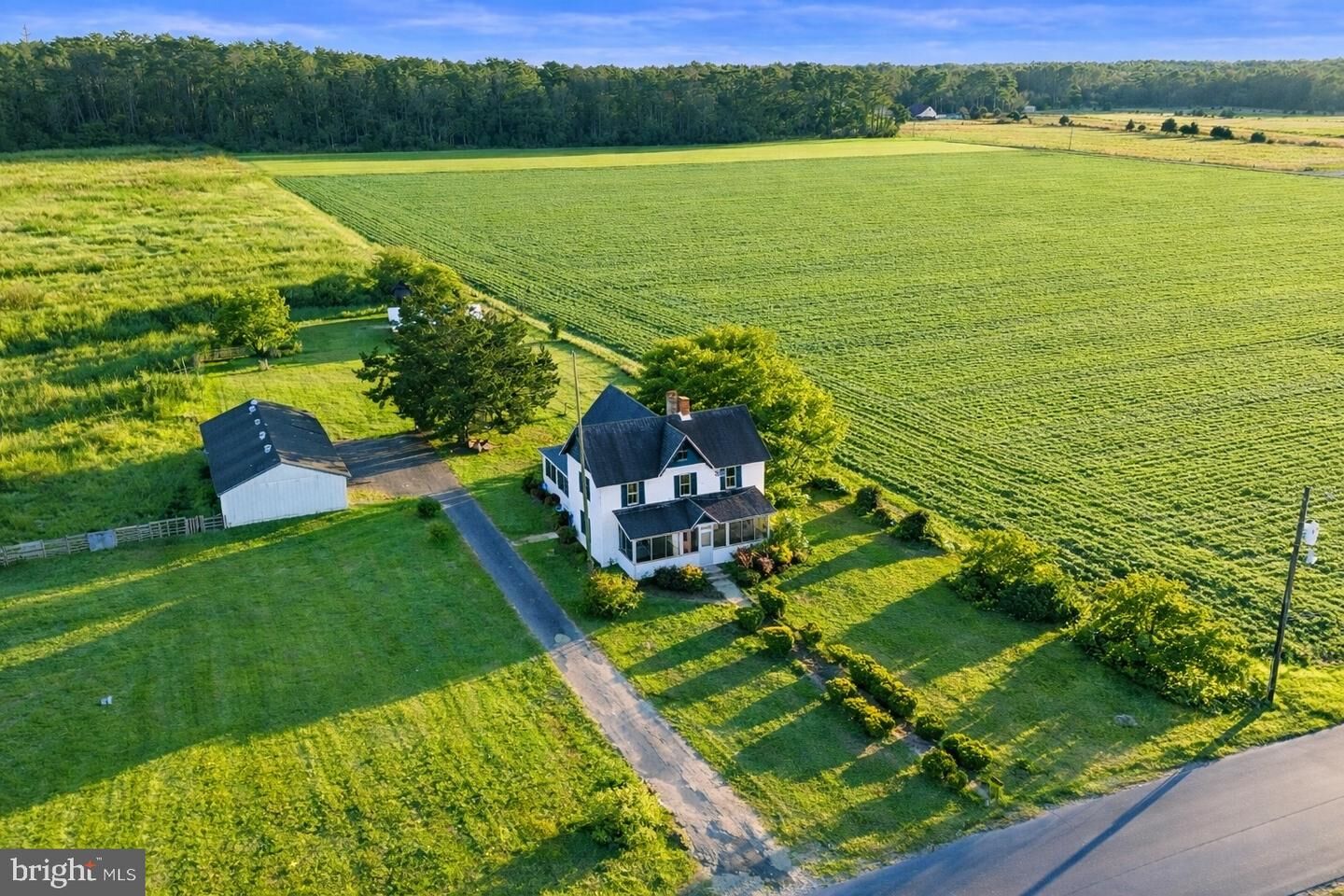 Property Photo: 210 Chestnut Tree Road MD 21830