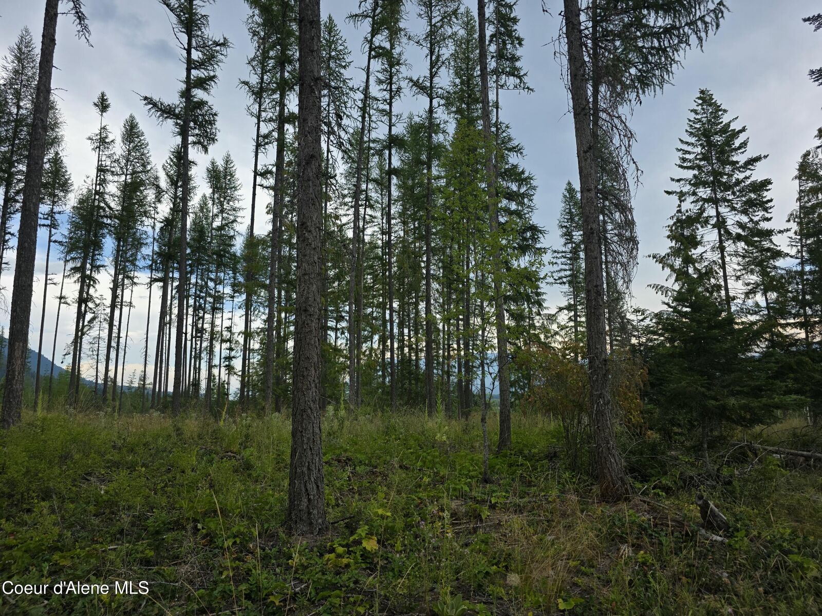 Property Photo:  Nna Westside Rd Parcel 12  ID 83805 