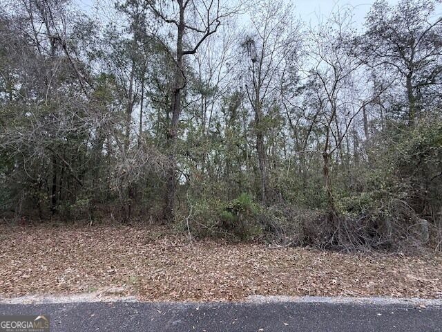 Property Photo: V/L 40 Satilla River Landing GA 31569