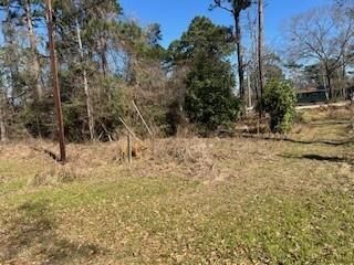 Property Photo: 171 Cherry Tree TX 77351