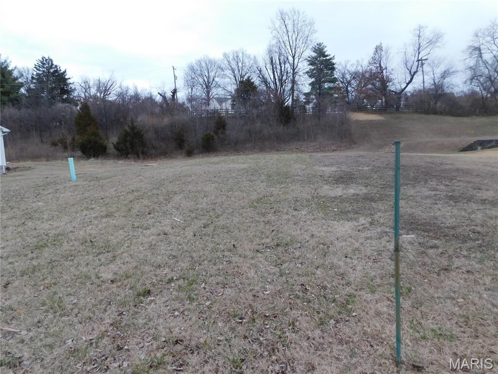 Property Photo: 12022 Parker Estates Court MO 63033