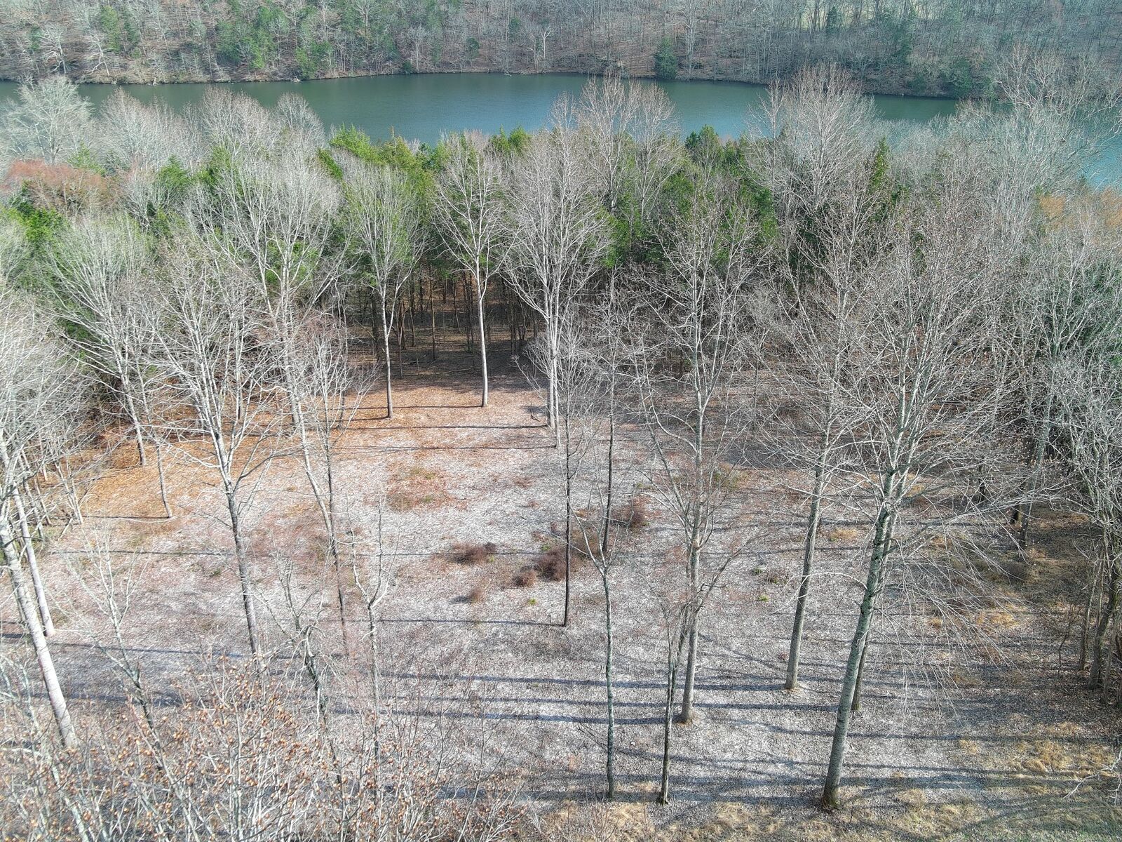 Property Photo:  0 Bedford Lake Rd  TN 37160 