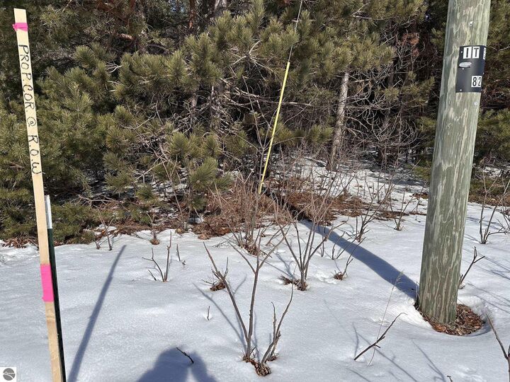 Property Photo:  Honor Highway  MI 49643 