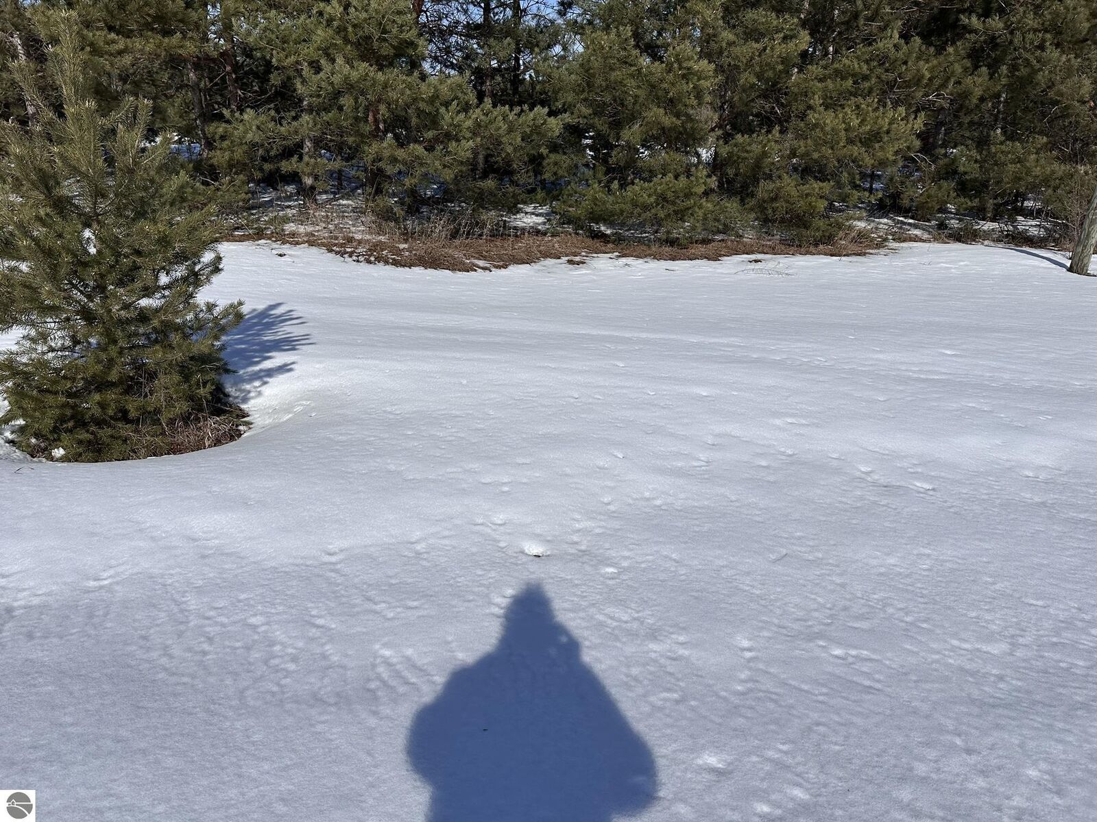 Property Photo:  Honor Highway  MI 49643 