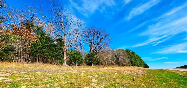 Property Photo: Lot 463 US-175 TX 75770
