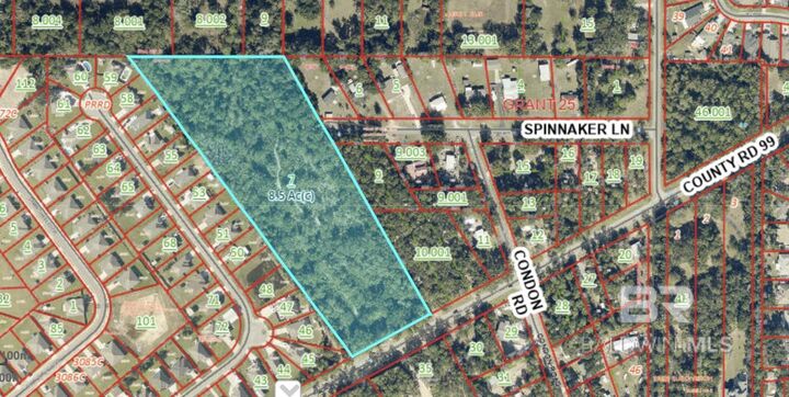Property Photo: 00 County Road 99 AL 36549