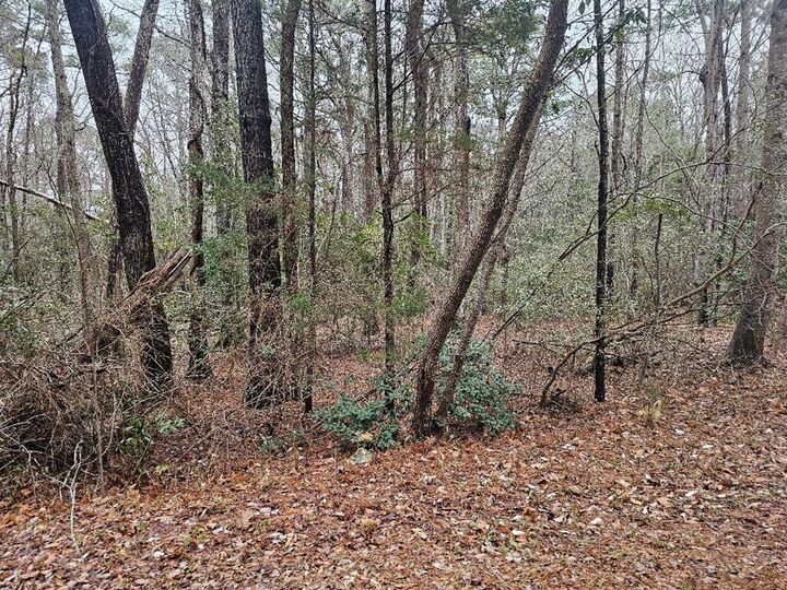 Property Photo: Lot 25 Jacobus Creek Rd VA 23405