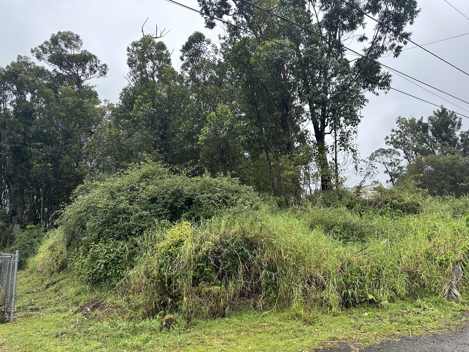 Property Photo:  18-4104 Hohiu St  HI 96771 