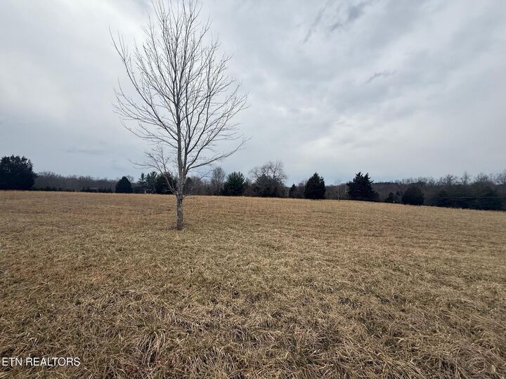Property Photo:  Maple Point Lane - Lot 11  TN 38555 