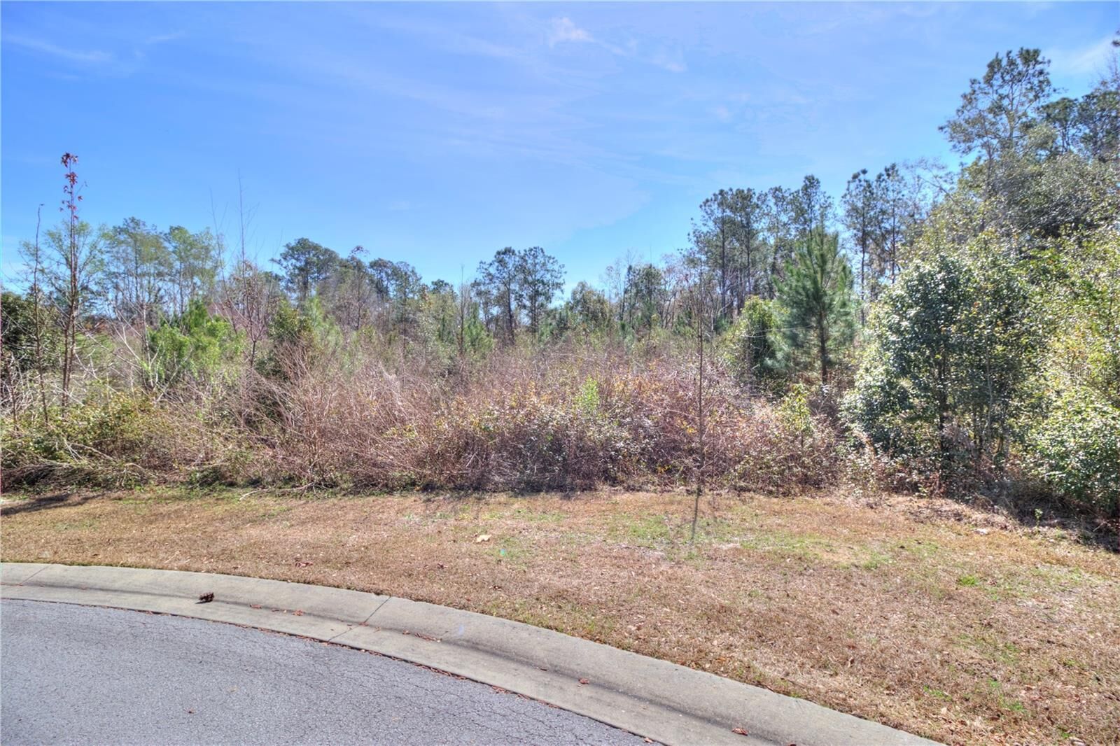 Property Photo:  Tbd SE 41st Street  FL 34480 