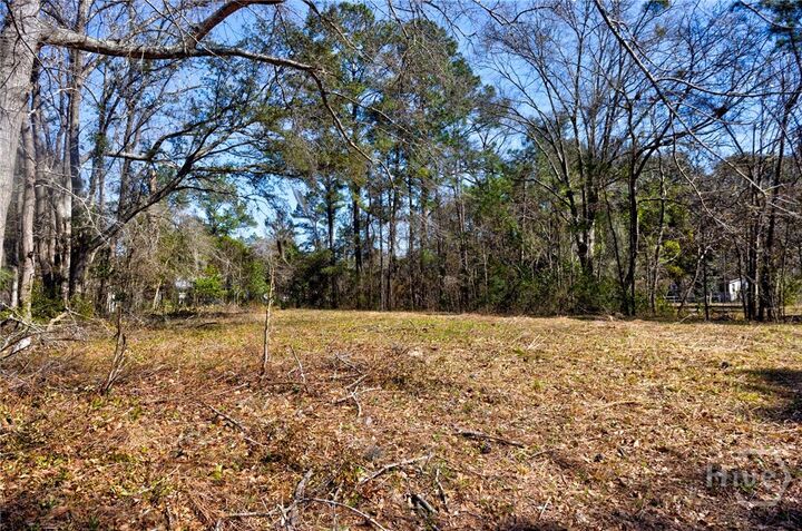Property Photo: 0 Magnolia Street GA 31312