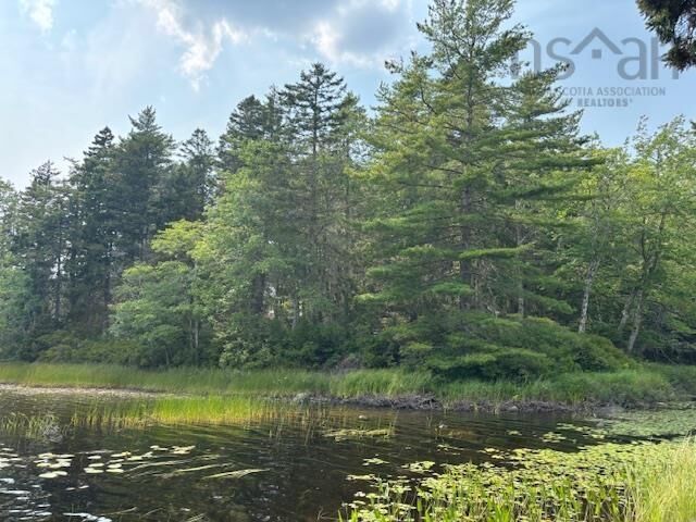 Property Photo:  Lot 25 Beaver Dam Trail  NS B0T 1E0 