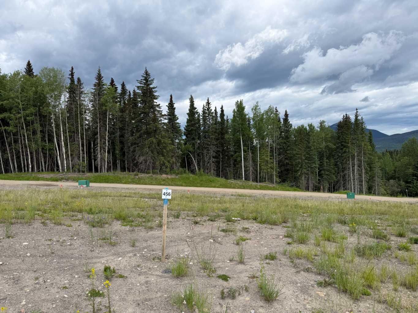 Property Photo: 456 Lily Avenue AB T0M 2H0
