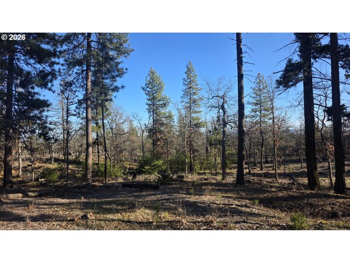 Property Photo:  Juniper Lot 119  WA 98620 