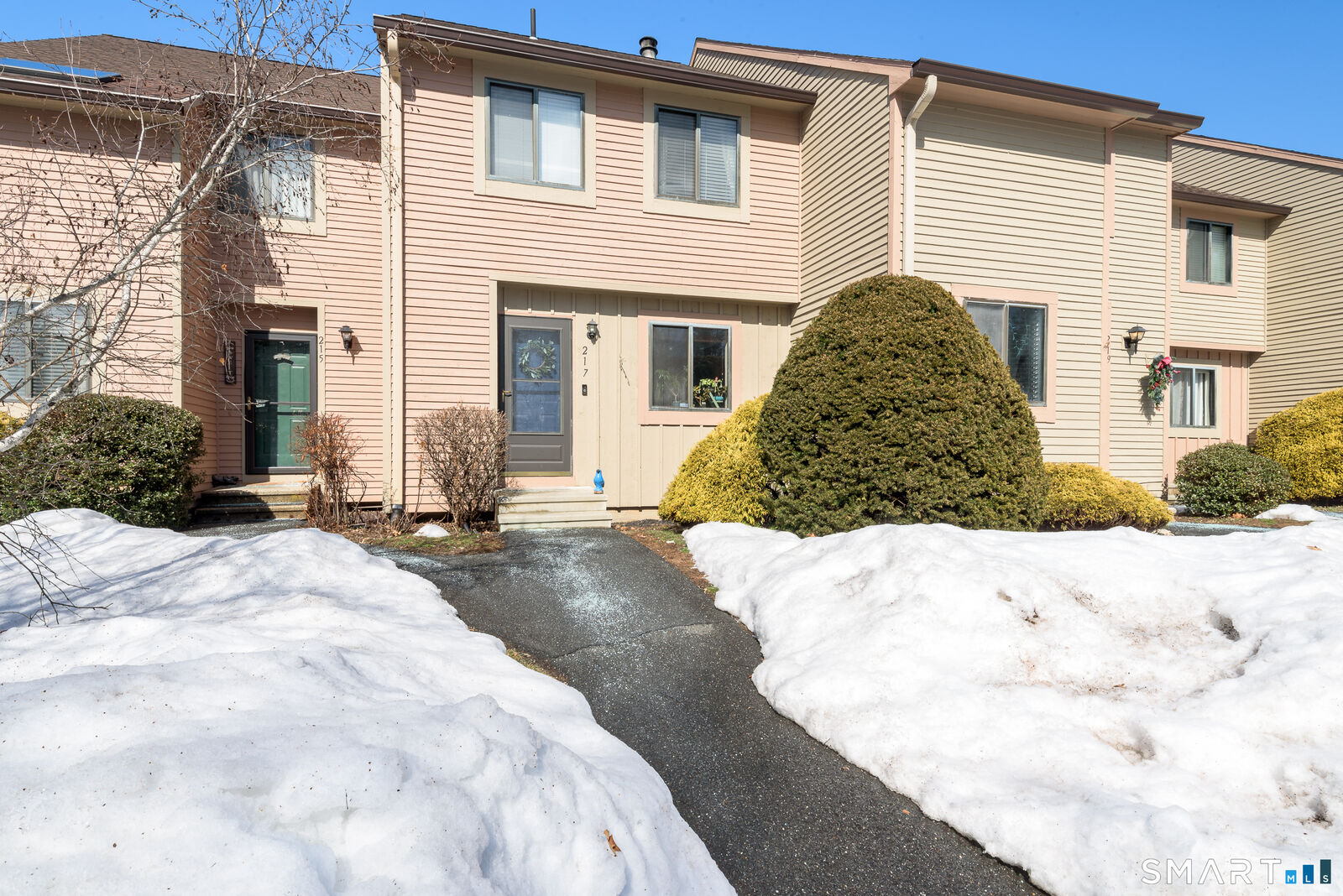 Property Photo:  217 Adams Hill Way 217  CT 06088 