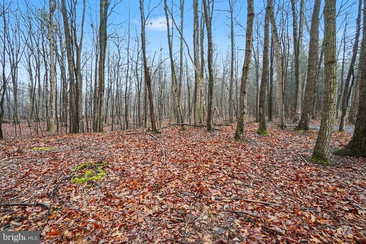 Property Photo:  Lot Indian Peg Road  PA 17007 