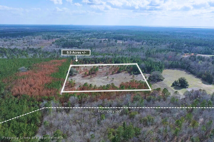 Property Photo:  5 Pompey Road  SC 29102 