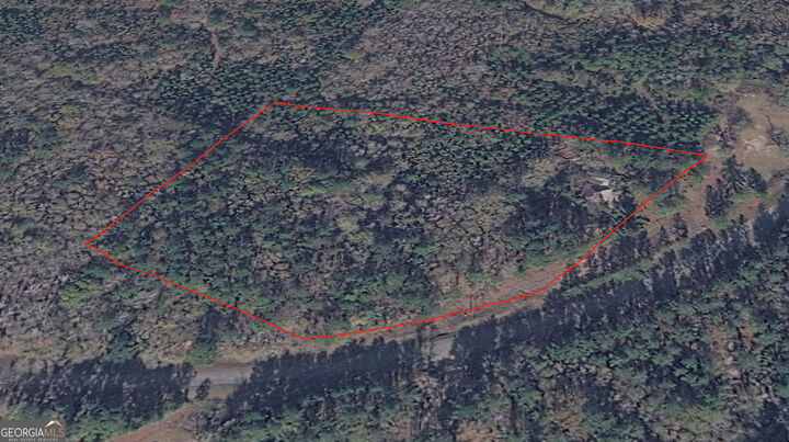 Property Photo:  0 Wadley Coleman Lake  GA 30441 