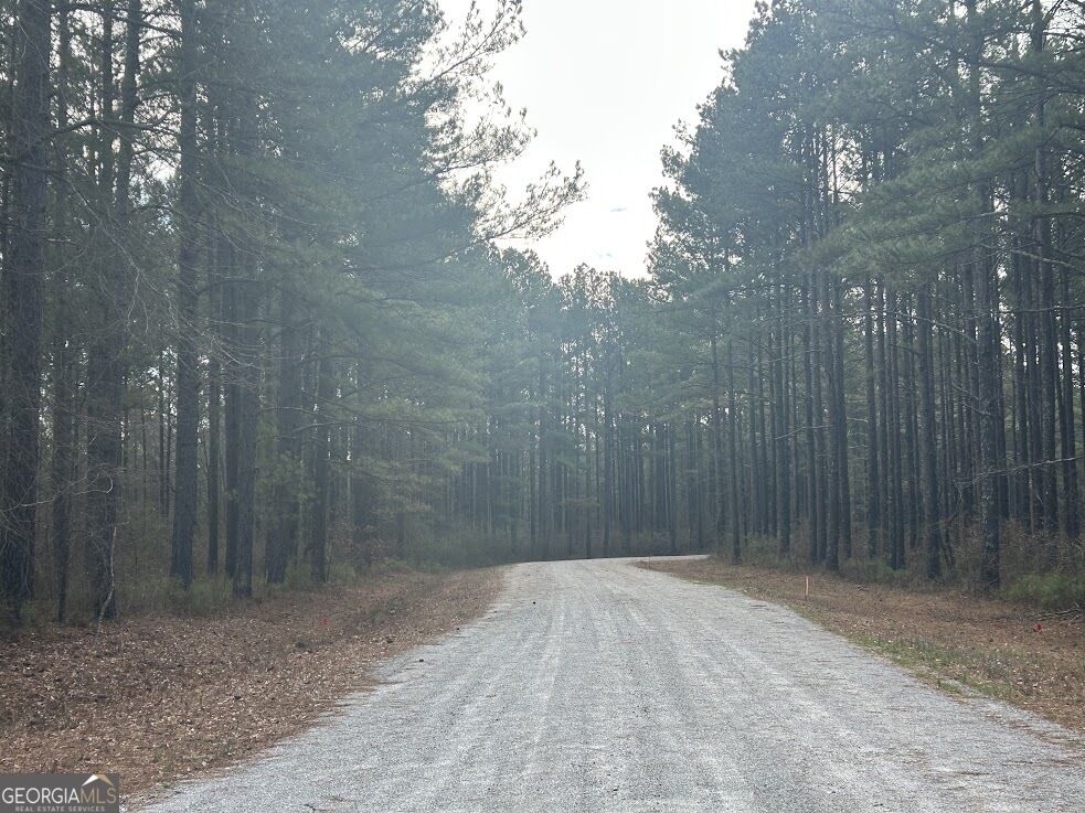 Property Photo:  236 Riversong (Tract 8)  GA 30117 