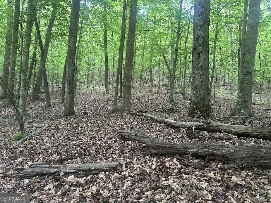 Property Photo: 236 Riversong (Tract 8) GA 30117